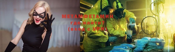 индика Вяземский