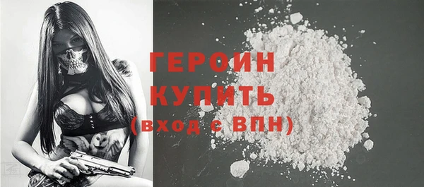 индика Вяземский
