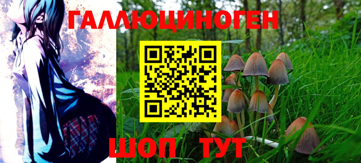 Псилоцибиновые грибы мицелий  Вход с VPN  Невинномысск  Псилоцибиновые грибы мухоморы 