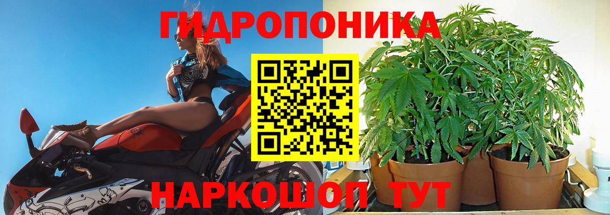 Каннабис семена  Вход с VPN  Невинномысск  МАРИХУАНА Amnesia  Бошки марихуана конопля 